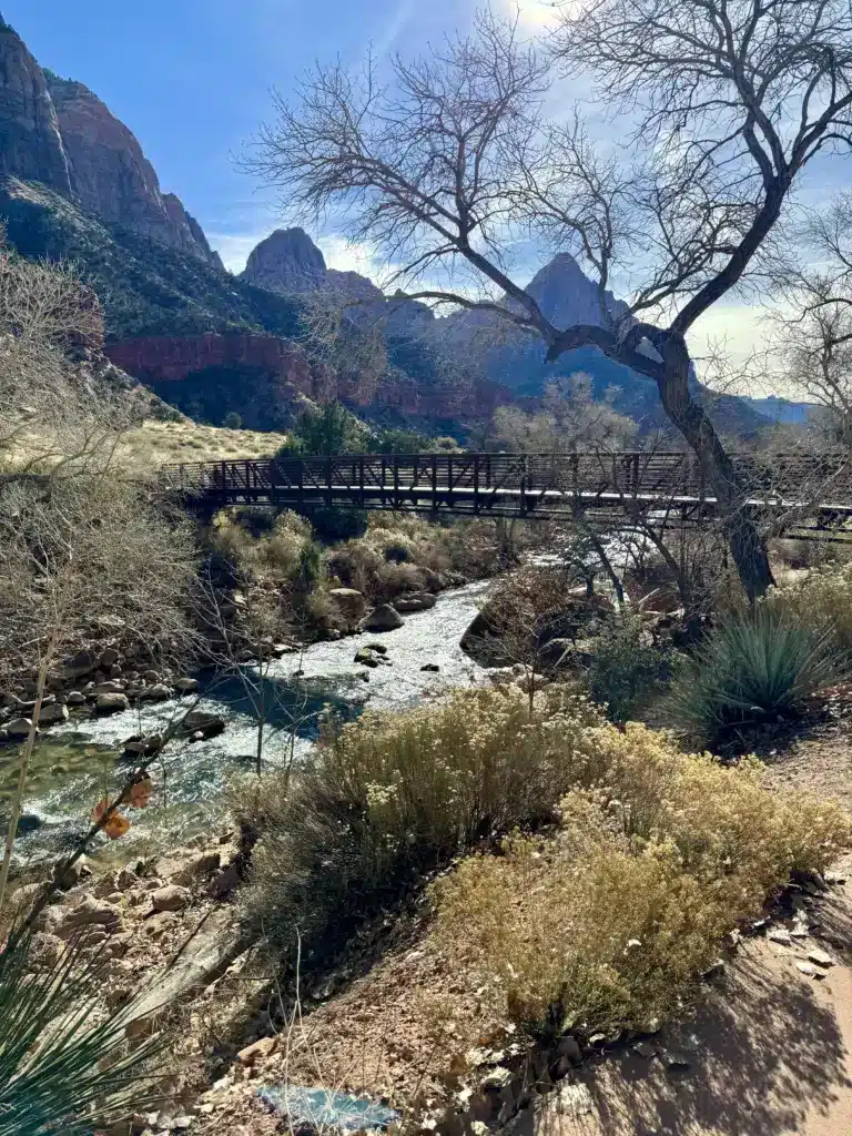 Winter in Zion view of the Virgin River