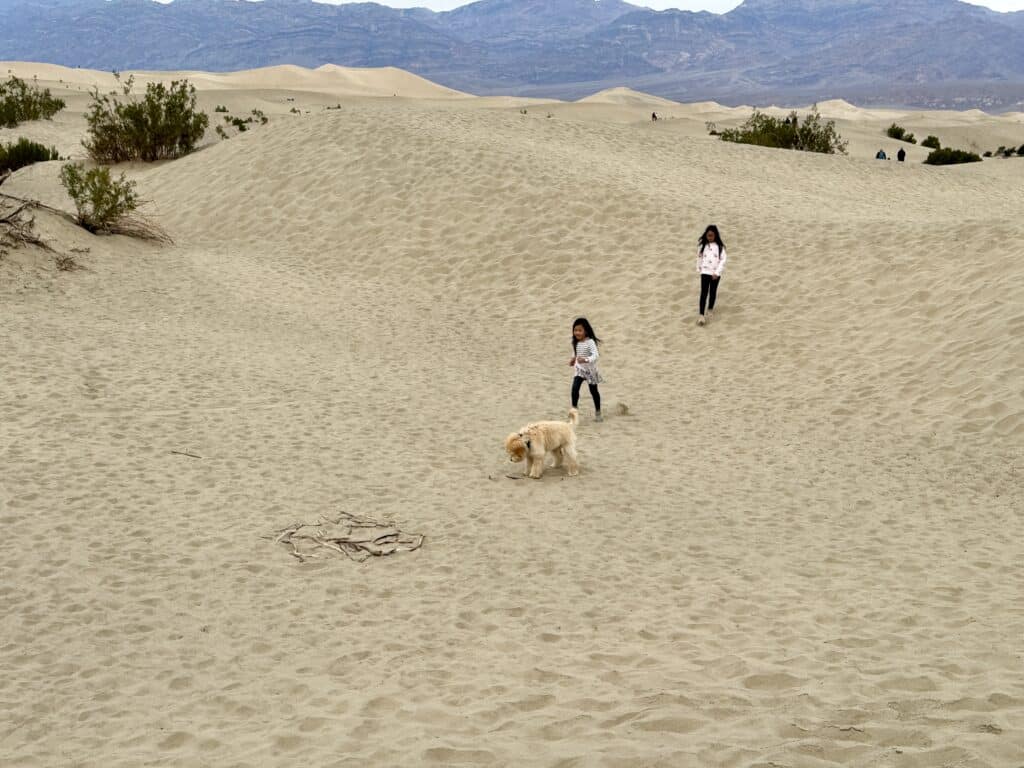 Finish at Stovepipe Wells to end your Day Trip in Death Valley