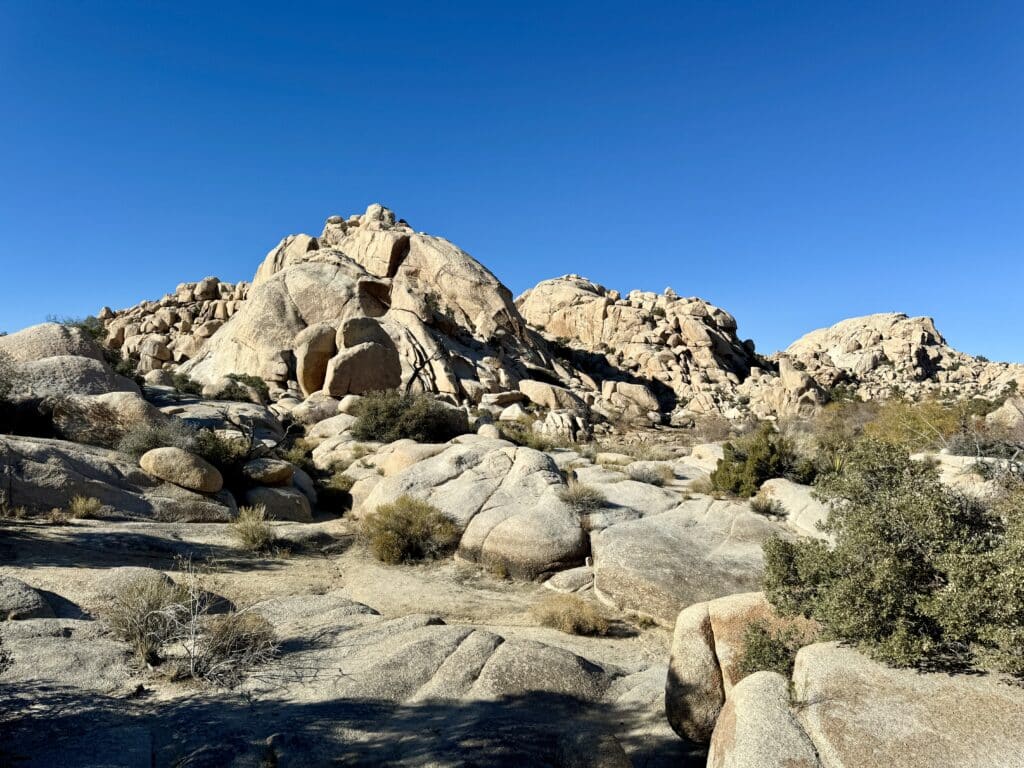 Explore our 3 day itinerary Joshua Tree now