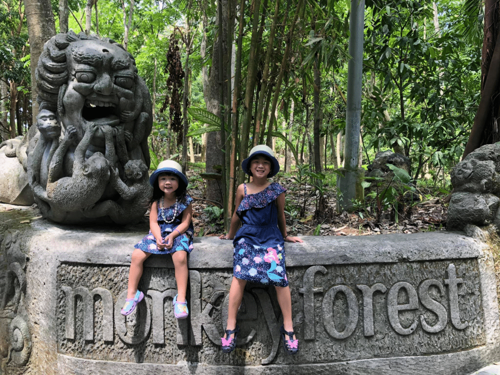 Ubud Monkey Foreset