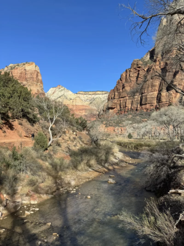 Virgin River Zion National Park at The Grotto