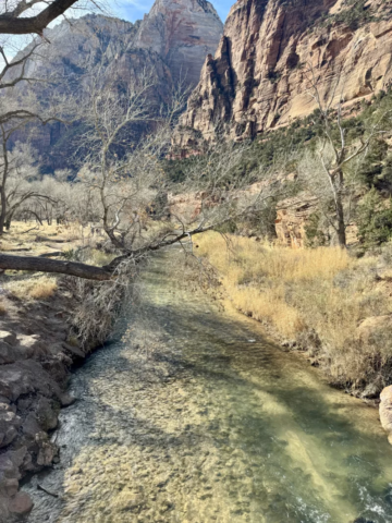 Virgin River Zion National Park