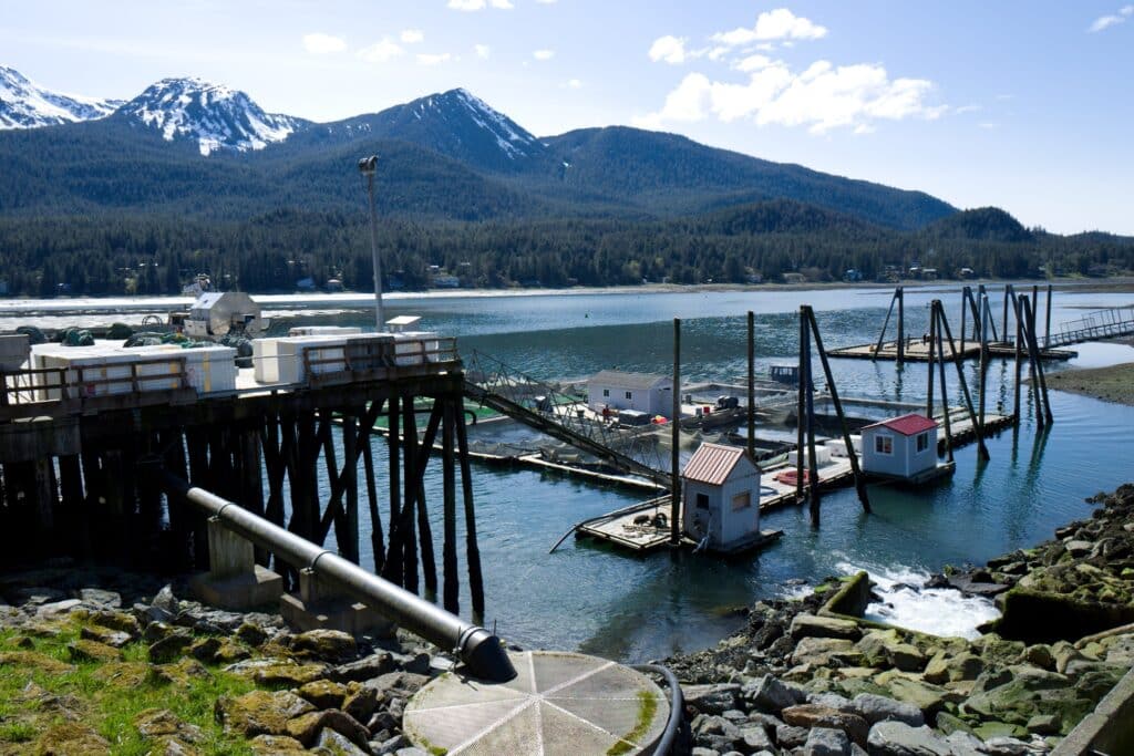 DIPAC Macaulay Salmon Hatchery