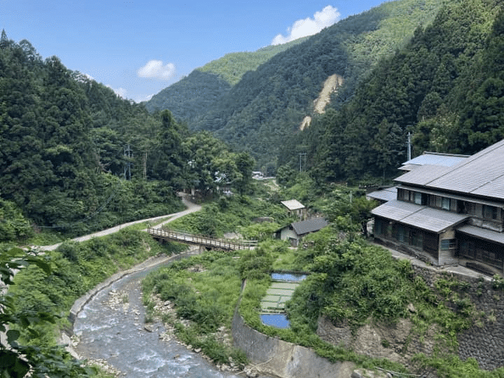 Jigokudani Snow Monkey Park in Nagano