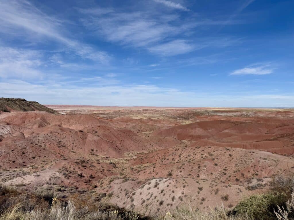 Petrified Forest National Park