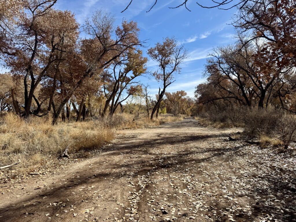 Family Walk or Ride at Paseo del Bosque Trail