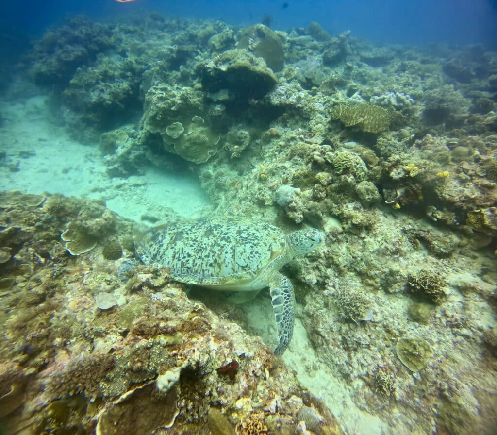Scuba diving in Boracay