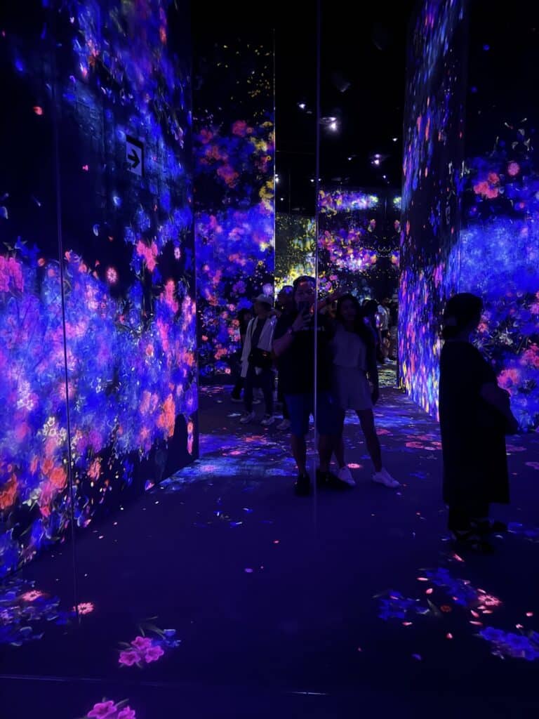 TeamLab Borderless Tokyo