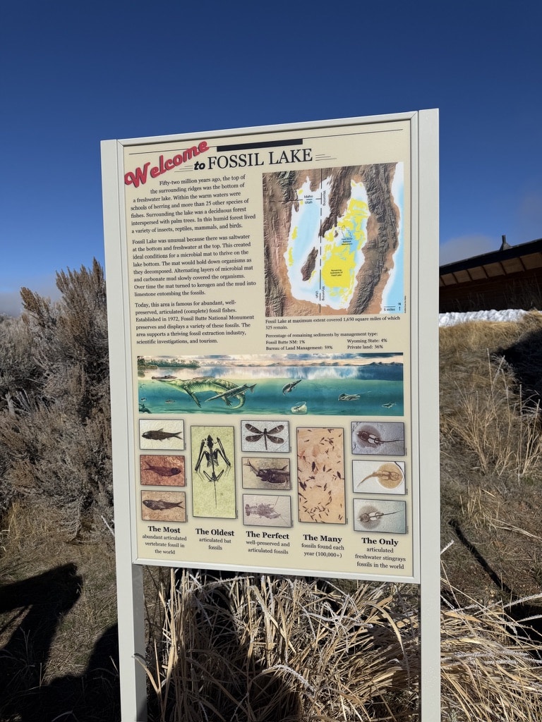 Fossil Butte National Monument History